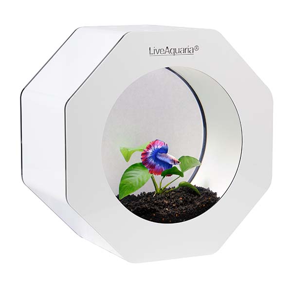 LiveAquaria® Betta Aquarium Kit Octi White